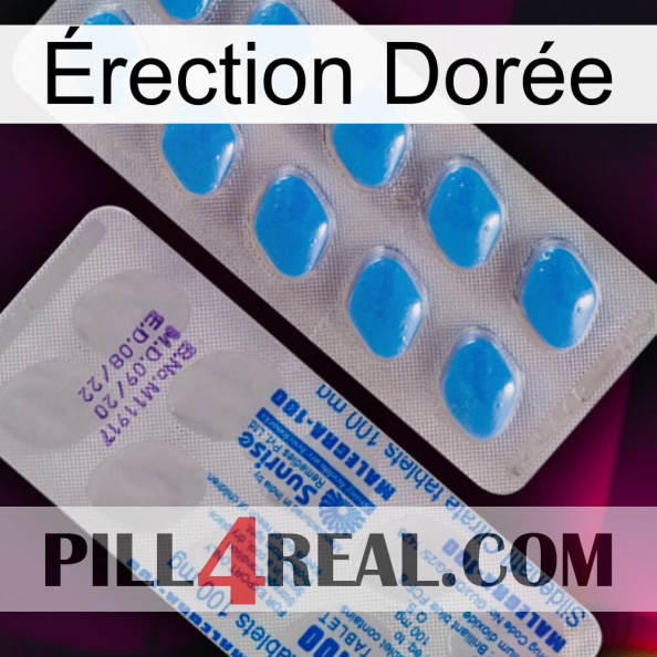 Érection Dorée new15